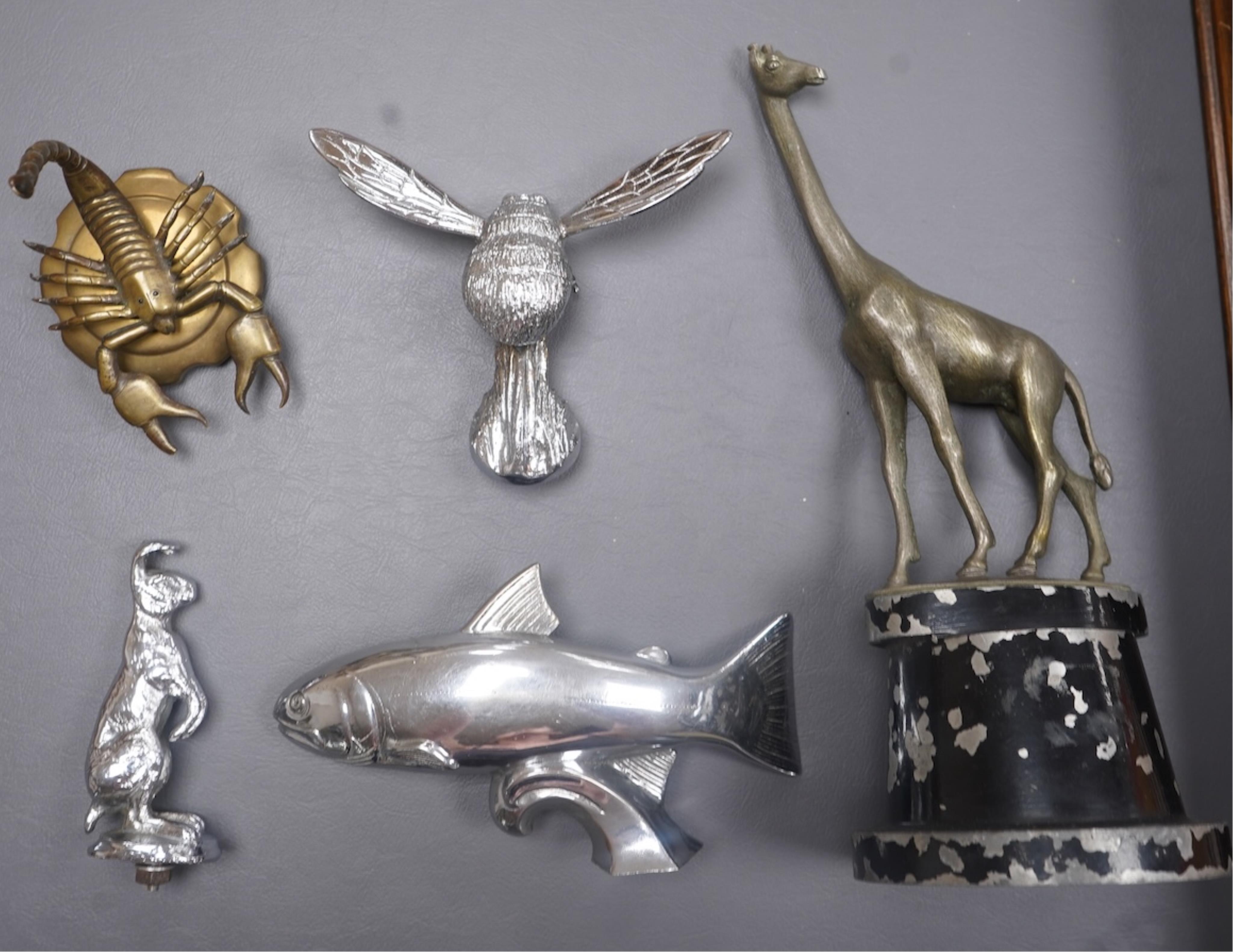Five animal themed chrome and brass car mascots consisting of a giraffe mounted on a turned aluminium base, a hare, a bumblebee in flight, a leaping fish, and a scorpion. Condition - fair to good.